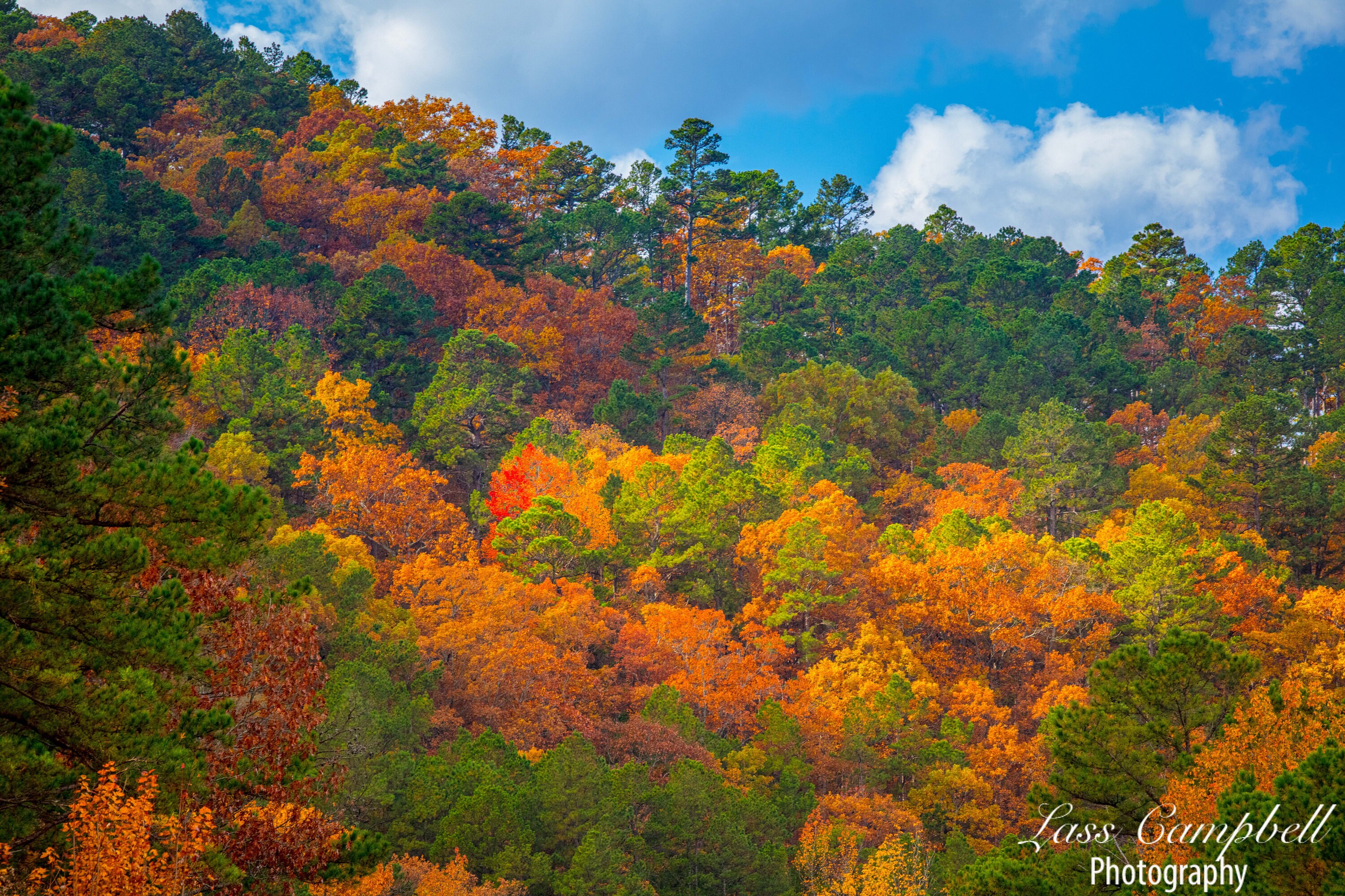 Talimena Scenic Byway Oklahoma Fall Foliage Ouachita Etsy