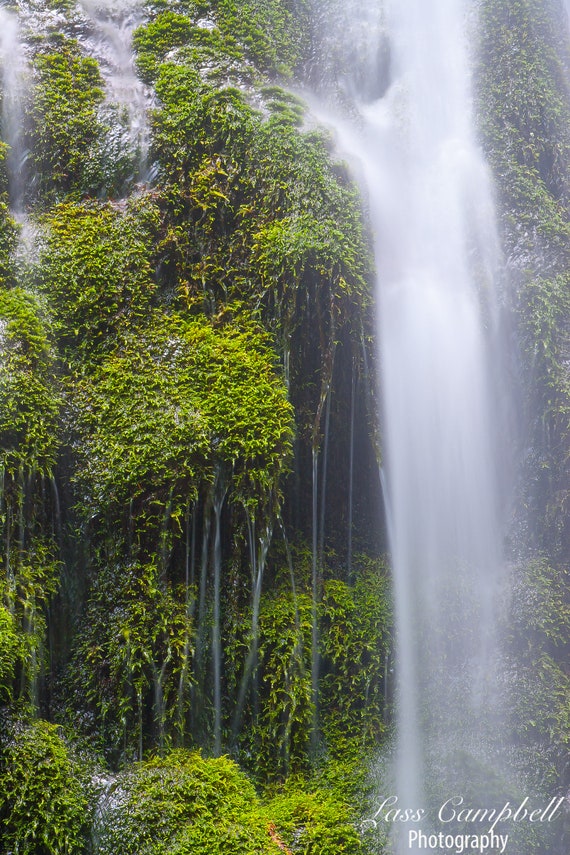 Madison Creek Falls (Series), Elwha River Valley, Olympic National Park,  Pacific Northwest, Washington, Waterfall
