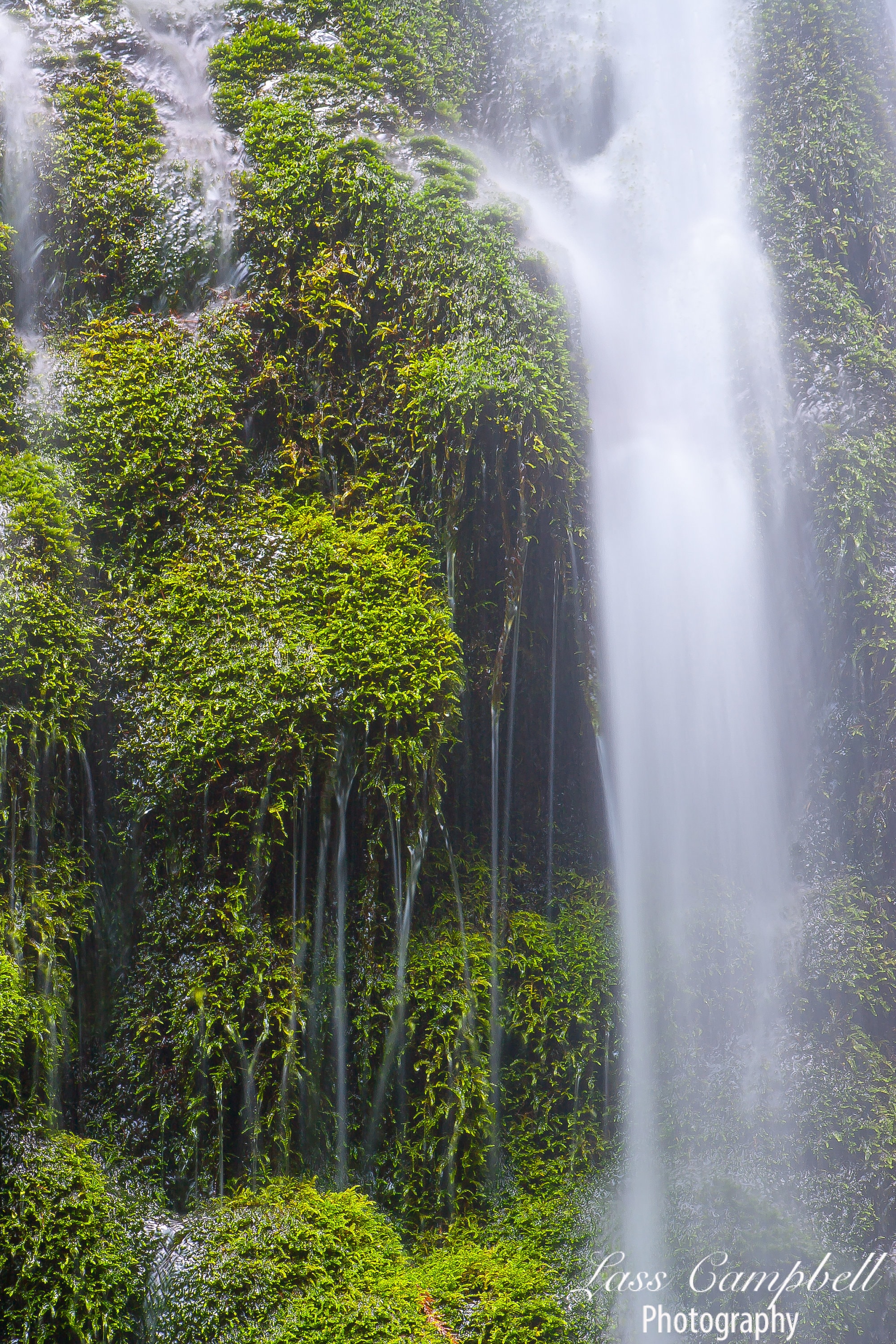 Waterfalls Madison Falls Olympic National Park Madison Olympic