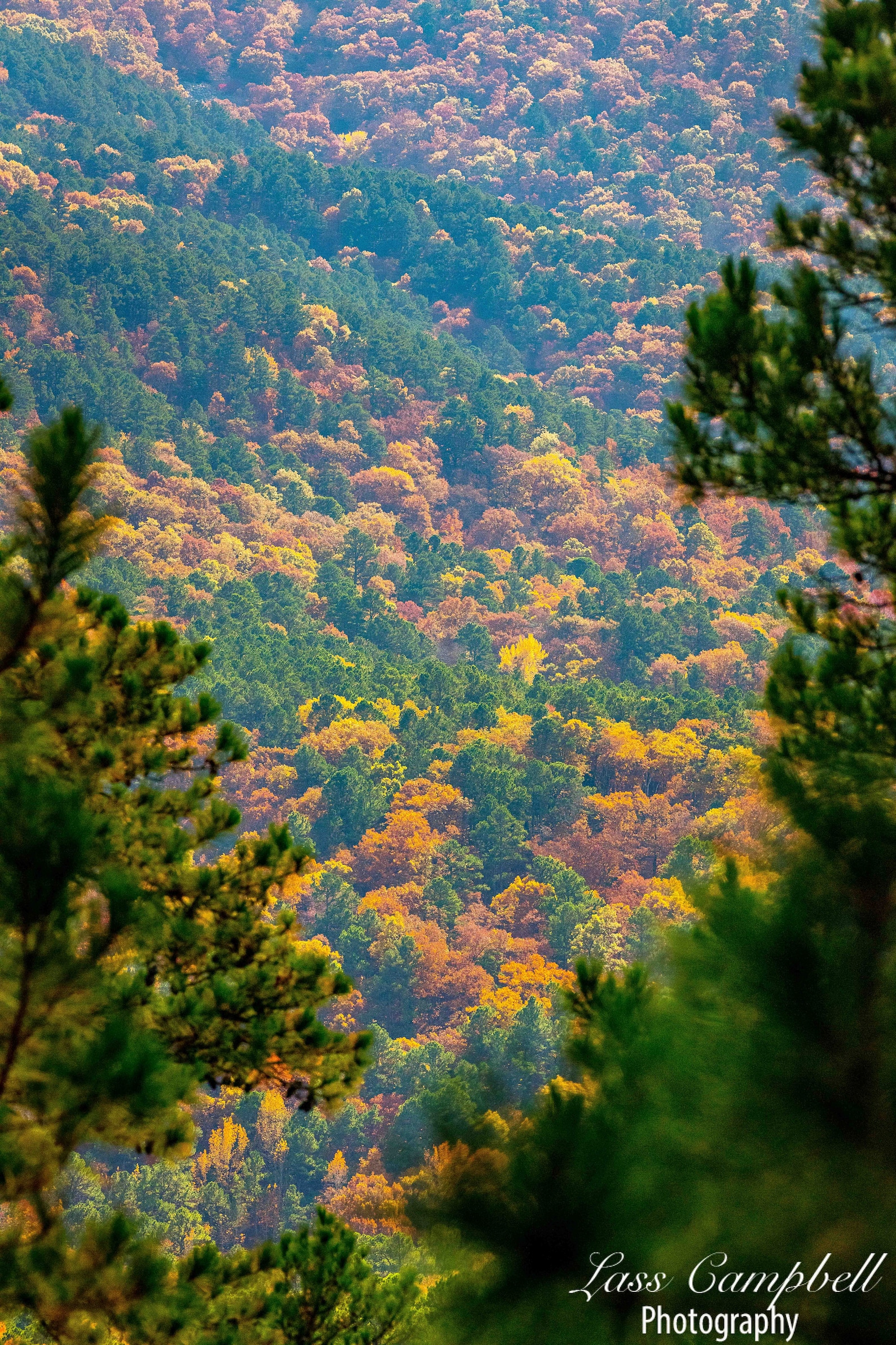 Talimena Scenic Byway Oklahoma Fall Foliage Ouachita Etsy