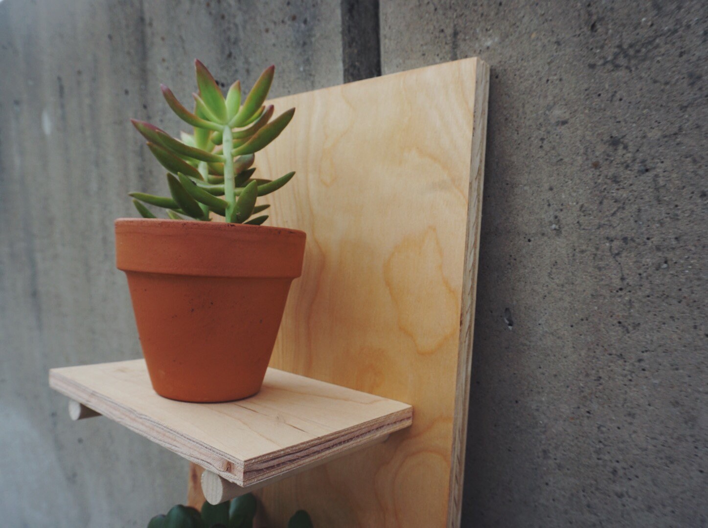 Planter Peg / Planter Pegboard / 10 X 36 Etsy