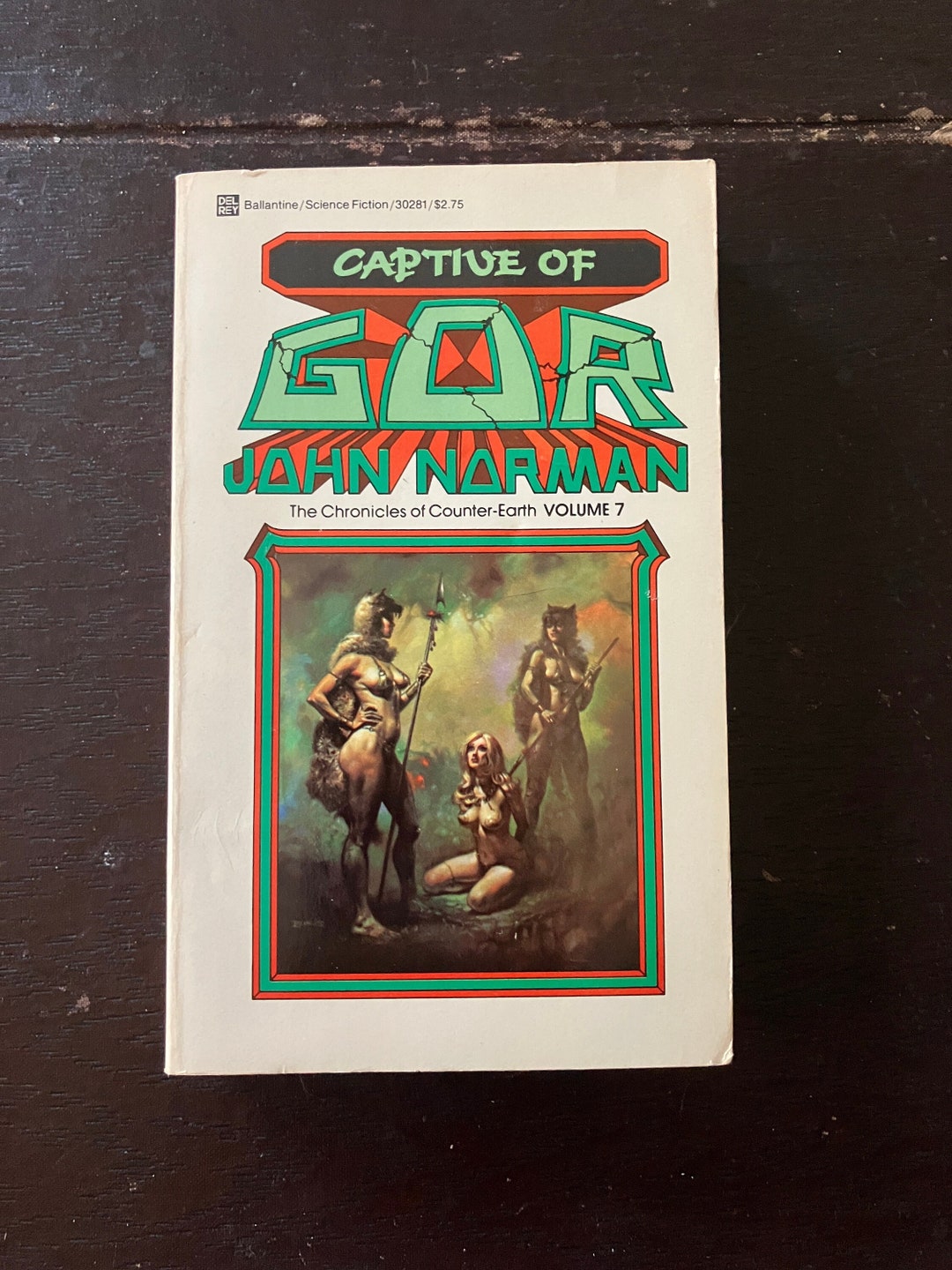 Captive of Gor by John Norman: 1982 Edition With Boris Vallejo - Etsy