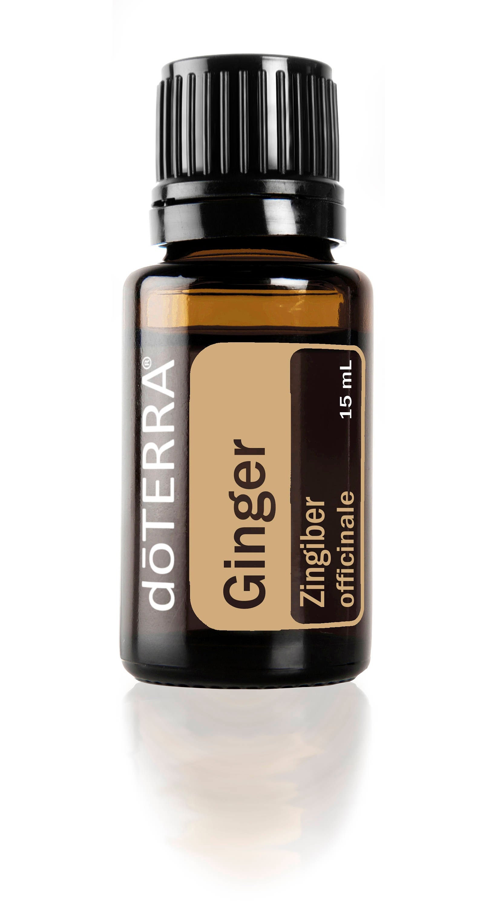 Doterra Ginger Essential Oil 15ml Bottle Etsy