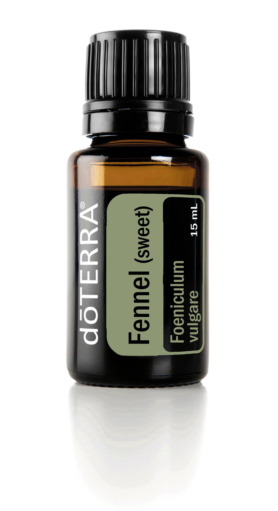 Doterra Fennel Essential Oil 15ml Bottle Etsy