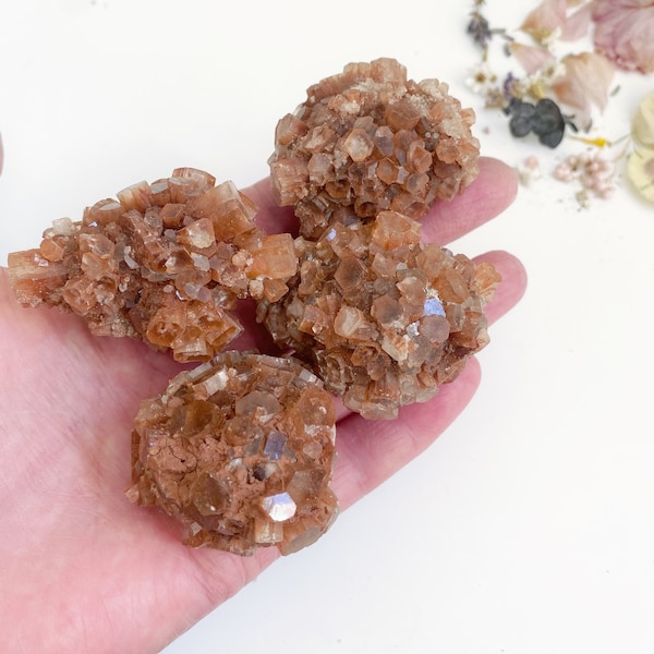 Aragonite Sputnik Clusters