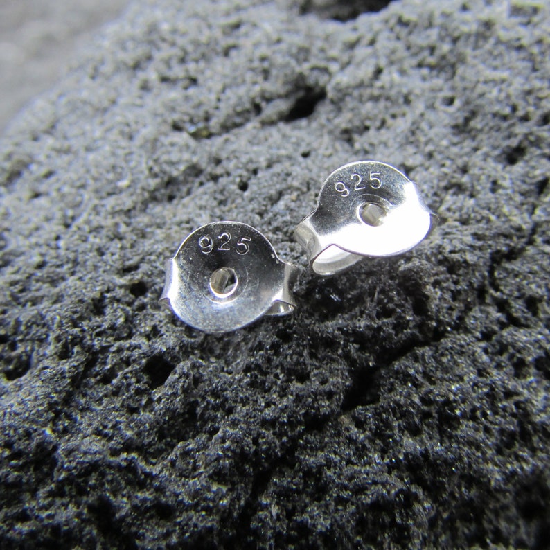 Ocean Unique Sea Turtle Stud Earrings Beach Sterling Silver Abalone Paua Shell Gift Jewelry Handmade