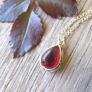 May include: A silver necklace with a teardrop-shaped pendant featuring a red gemstone.
