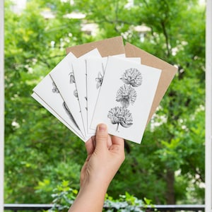 Lot de 6 Cartes illustrées Botanique de l'Aubrac
