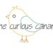 The Curious Canary