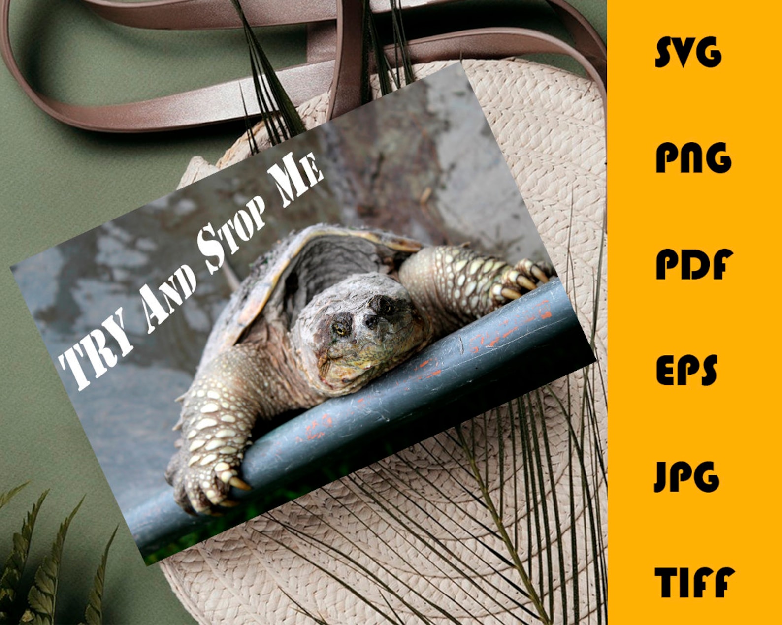 Spruchkarte Druck Schildkröte Druckbare Wandkunst Illustrierte Etsy
