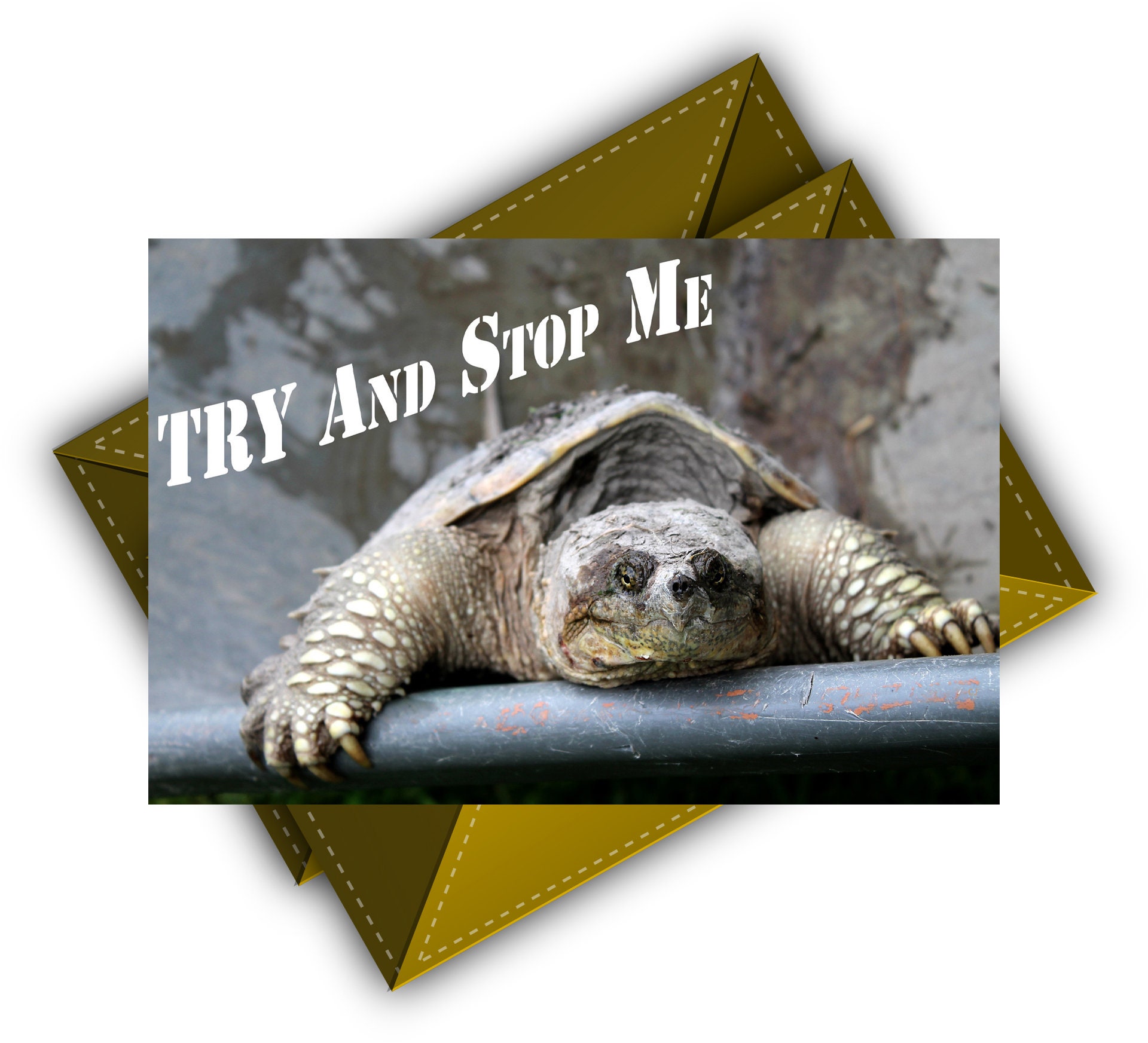 Spruchkarte Druck Schildkröte Druckbare Wandkunst Illustrierte Etsy