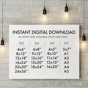 Printable Wall Art/Music Print/Printable Quote/Prints/Poster/Instant Download/Violin/Music/String Instrument/Wall Decor/Mozart/Beethoven image 3