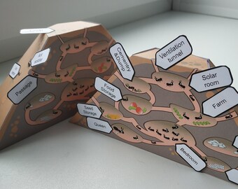 DIY Paper Anthill - Educational toy - School Project Ant Colony