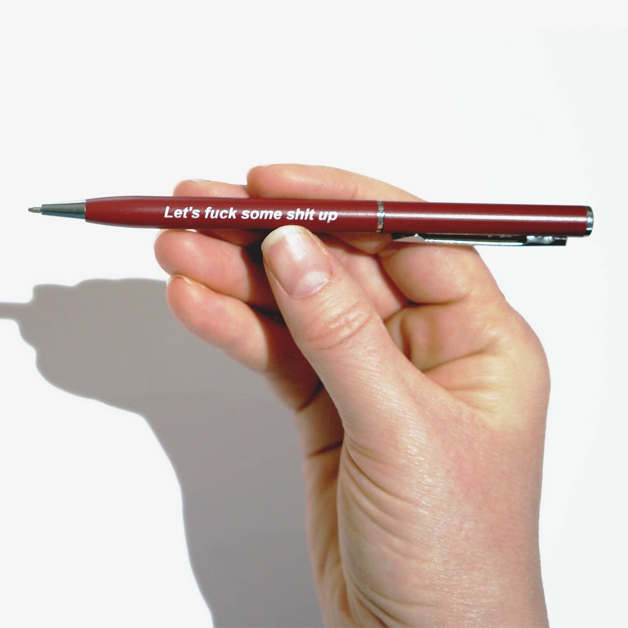  Cheeky Chops Funny Rude pens I hate everyone Novelty Office  Stationary PEN64 : Office Products