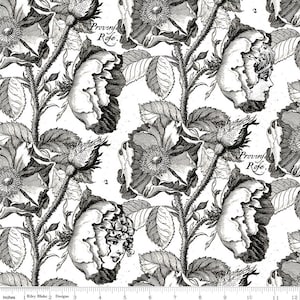 Mad Masquerade Queen's Living Garden - CD11955- J. Wecker Frisch for Riley Blake Designs - 1/2 yard increments