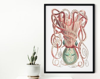 Framed Print, Vintage Cuttlefish Print, Scientific biology nautical Wall Art, marine squid decor ocean art