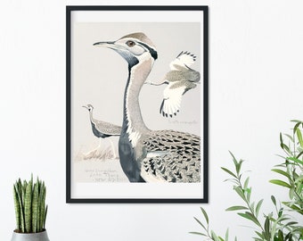 Framed Vintage Bird Prints, Natural history bird art illustration print, framed bird print, antique bird print, bird print