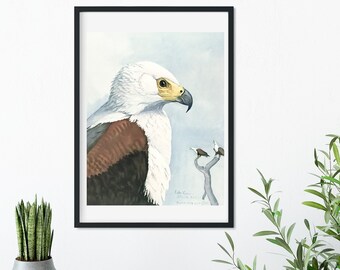 Framed Vintage Bird Print, Natural history bird art illustration print, framed bird print, antique bird print, eagle print