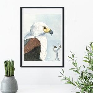 Framed Vintage Bird Print, Natural history bird art illustration print, framed bird print, antique bird print, eagle print