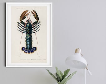 Framed Lobster Print, Vintage Crawfish Scientific chart, crayfish sea life poster, Kitchen art seafood print