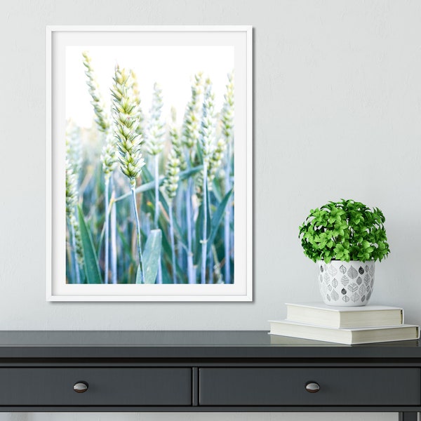 Corn field green wheat minimalist macro photography print