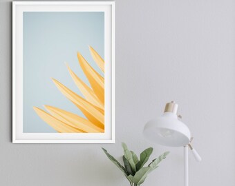 Modern Minimalist flower Print, abstract flower art photography print, minimalist art, blue and yellow flower photograph simple flower print