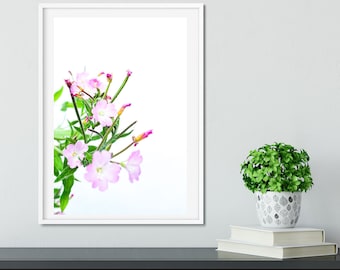 Pink fine art Minimalist Wildflower photography Print