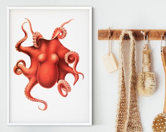 Octopus Print Framed print, Scientific nautical biology Octopus Wall Art, Octopus ocean art bathroom print, nautical art antique sea decor