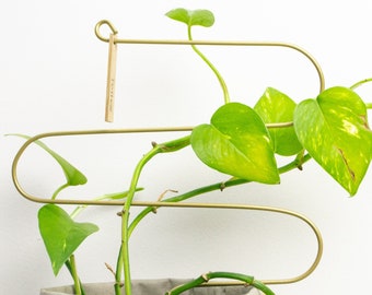 Estaca de planta interior de soporte de planta curva, enrejado de metal de interior para soporte de tallo y etiqueta de planta, accesorio de decoración de plantas de la casa amante de las plantas