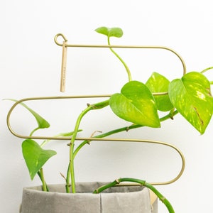 Curved Plant support indoor plant stake, Indoor metal trellis for stem support & plant label, plant lover house plant decoration accessory