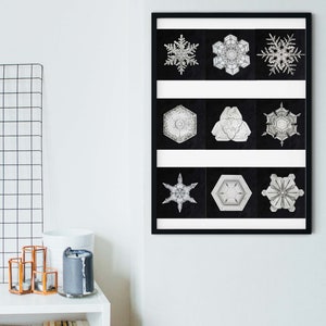 Framed Graphic Art Black & White Snowflake poster, Wilson Bentley Vintage photography Snowflake print, winter wall art, scientific art print