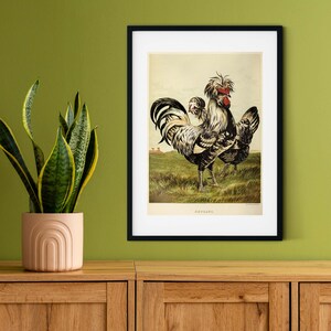 Framed Vintage Chicken Print, Natural history chicken art print, framed rooster print, antique chicken print, rooster print