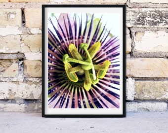 Passionflower Print, Passion flower art exotic flower photography, Passiflora Framed print, neutral flower Wall art Botanical Print