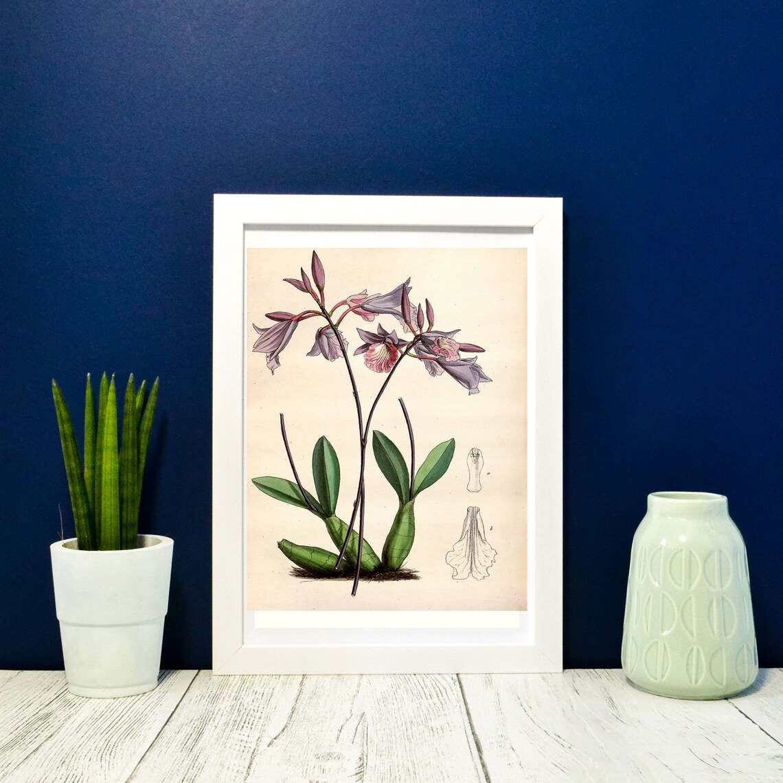 Purple Orchid Wall Art Botanical Print Frame Framed Print of Etsy