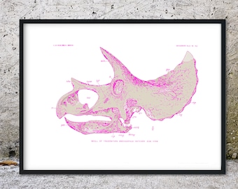 Framed Pink Triceratops skull print, dinosaur art print, Triceratops art skeleton print, dinosaur decor, dinosaur bones A4, A3, A2