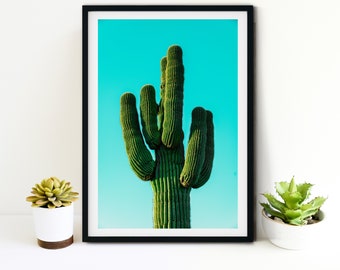 Cactus Photography Print, Desert cactus Wall Art, cactus print