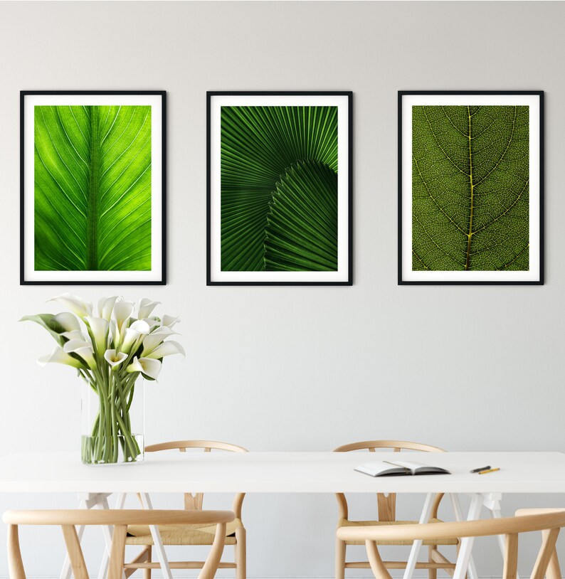 Set of 3 Framed Tropical Leaf Prints Abstract Leaf Textures Etsy