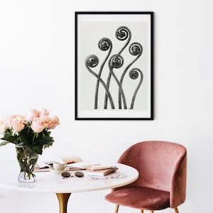 Fern Print, black and white framed prints fern photography, Blossfeldt