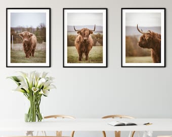 Framed Set of 3 prints highland cow print, cow photography triptych, farm art cow print set, highland cow art photography set