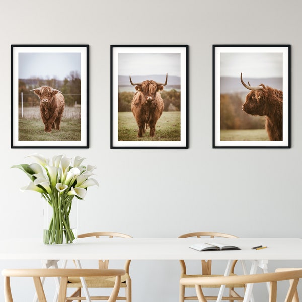 Framed Set of 3 prints highland cow print, cow photography triptych, farm art cow print set, highland cow art photography set