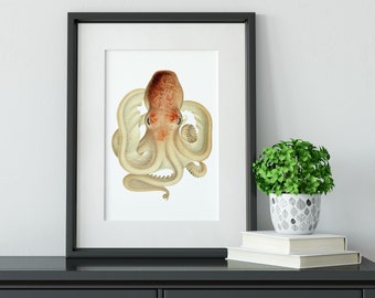 Framed Print, Vintage Octopus Print, Scientific biology Octopus Wall Art, marine Octopus ocean art, nautical art