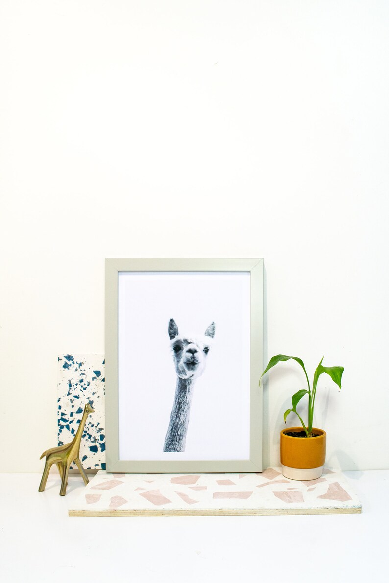 Gray Picture Frame A5 A4 A3 Gray Frame Gray Photo Frame Etsy