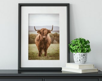 Framed highland cow print, bull photography rustic wall art, farm art cow print, highland cow art, cow photography print