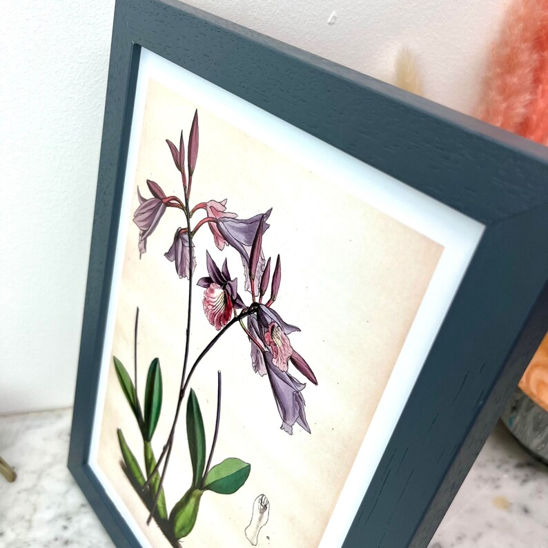 A4 Grey picture frame - Handmade dark grey wood wall art frame, grey photo frame, A4 print frame, high quality solid wood A4 picture frame image 4