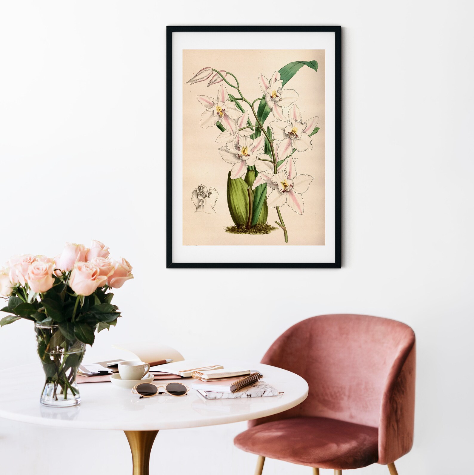 White Orchid Wall Art Botanical Print Framed Print of Orchid Etsy