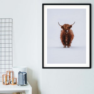 Framed highland cow in snow print, bull photography rustic wall art, farm art cow print, highland cow art, cow photography print