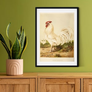 Framed Vintage Chicken Print, Natural history chicken art print, framed rooster print, antique chicken print, rooster print A5 A4, A3, A2
