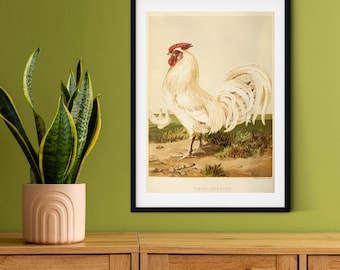 Framed Vintage Chicken Print, Natural history chicken art print, framed rooster print, antique chicken print, rooster print A5 A4, A3, A2