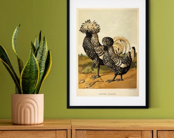 Framed Vintage Chicken Print, Natural history chicken art print, framed rooster print, antique chicken print, rooster print