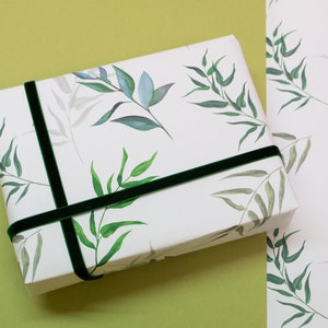 Carta da regalo con foglie di salice, carta da regalo con foglie botaniche, carta da regalo con stampa botanica, carta da regalo per matrimonio con foglie acquerellate, carta da regalo per compleanno
